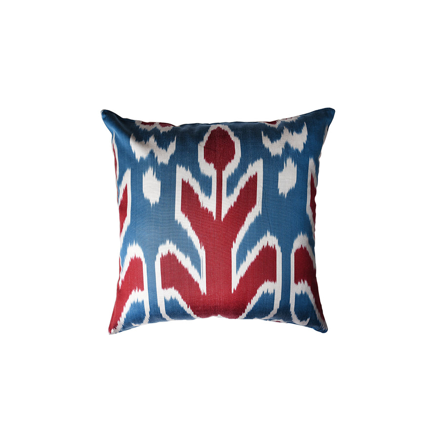 Blue & Red Cushion